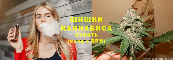 ГАЛЛЮЦИНОГЕННЫЕ ГРИБЫ Алексеевка