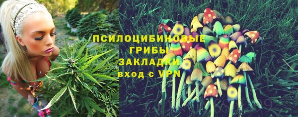 ГАЛЛЮЦИНОГЕННЫЕ ГРИБЫ Алексеевка