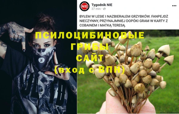эйфоретик Алзамай