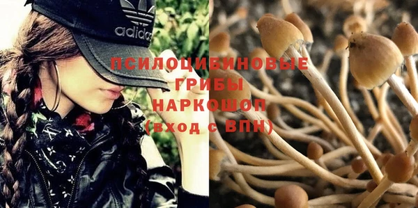 эйфоретик Алзамай