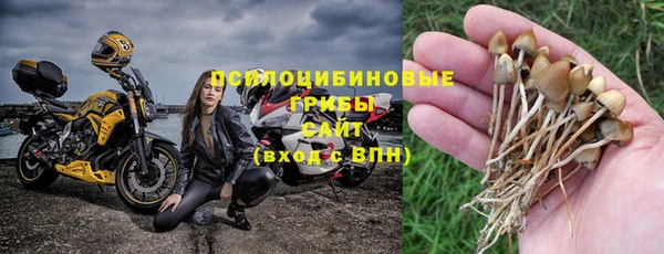 эйфоретик Алзамай