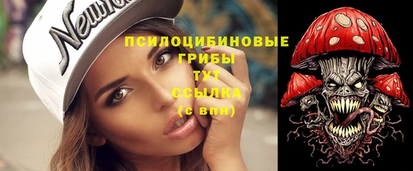 ГАЛЛЮЦИНОГЕННЫЕ ГРИБЫ Алексеевка