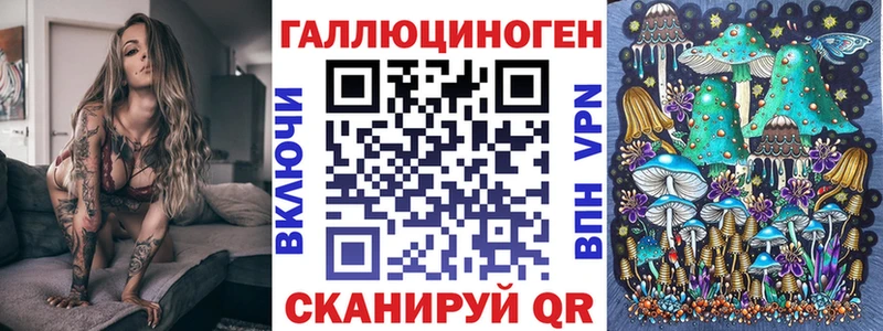 купить наркотики сайты  Саянск  Галлюциногенные грибы Psilocybe 