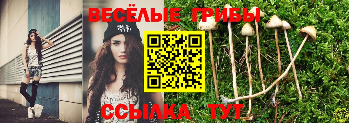 Саянск  Псилоцибиновые грибы Cubensis  Галлюциногенные грибы Psilocybe  Вход с VPN 