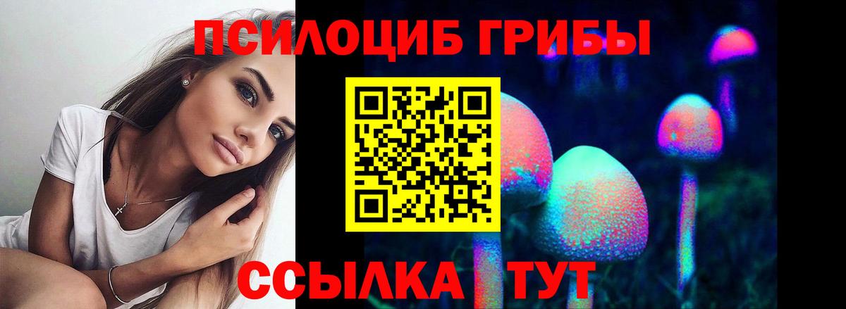 Псилоцибиновые грибы мицелий Саянск